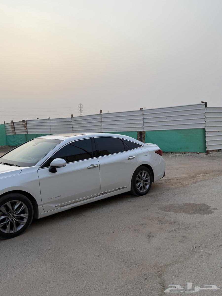 Avalon 2022 Limited64383774340097112