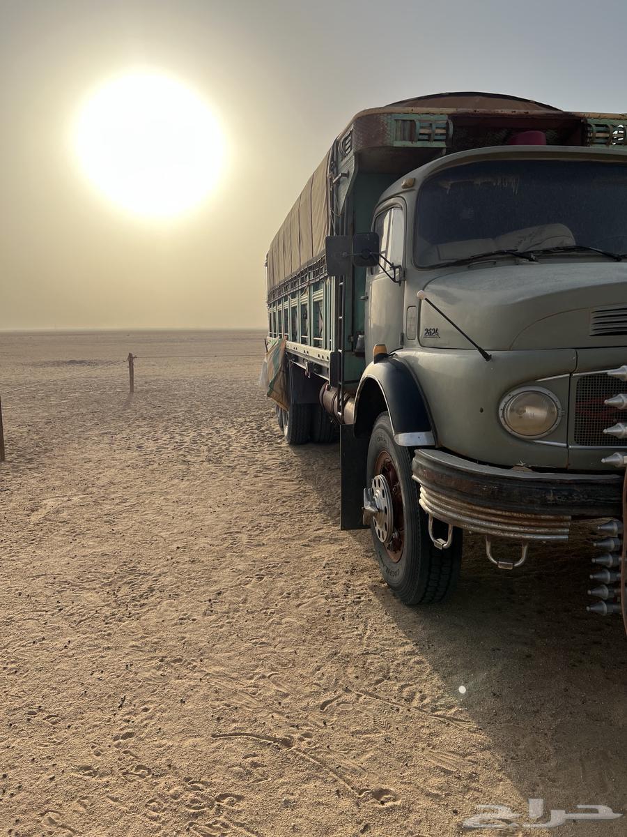 SQS Option Model 77 Condition64384619089283111