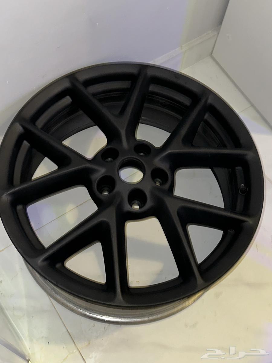 جنوط مكسيما مقاس 1964384451634945112