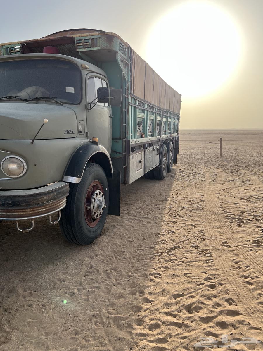 SQS Option Model 77 Condition64384619089283110