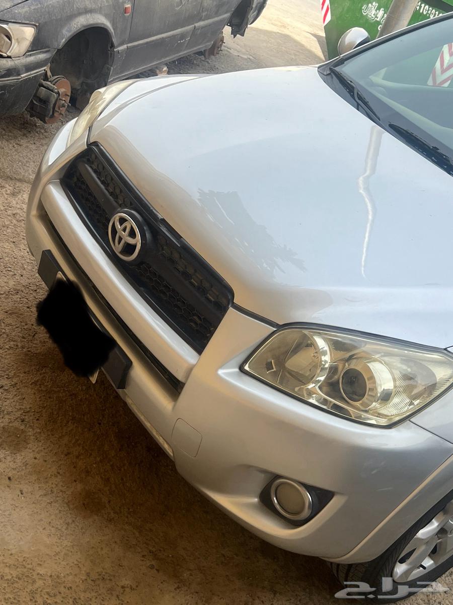 راف فور موديل 200964379239080451110