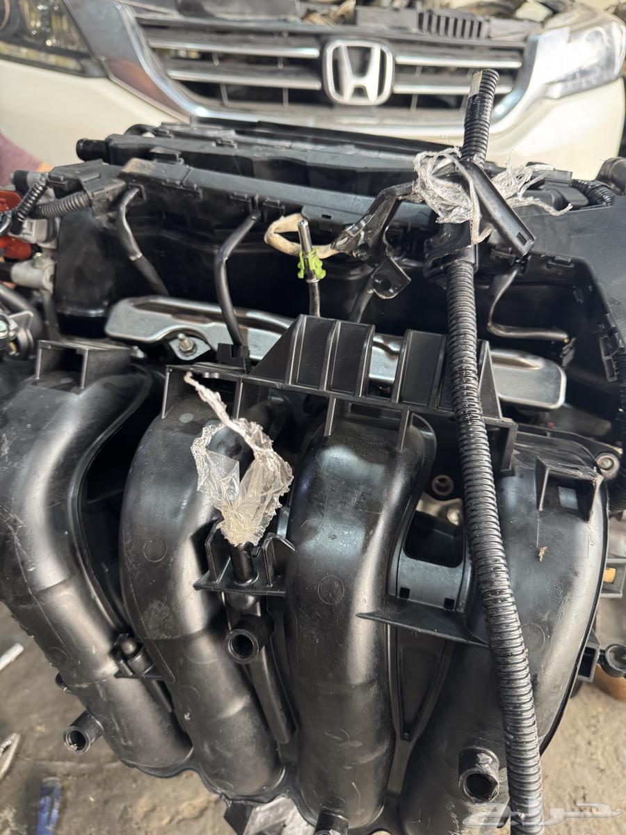 Mekan Accord. Imported64379413841026113