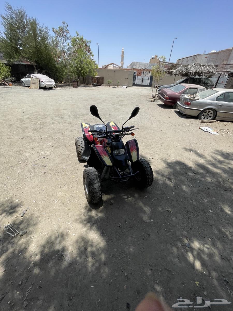 دباب سويدي مقاس 10064384590950529114