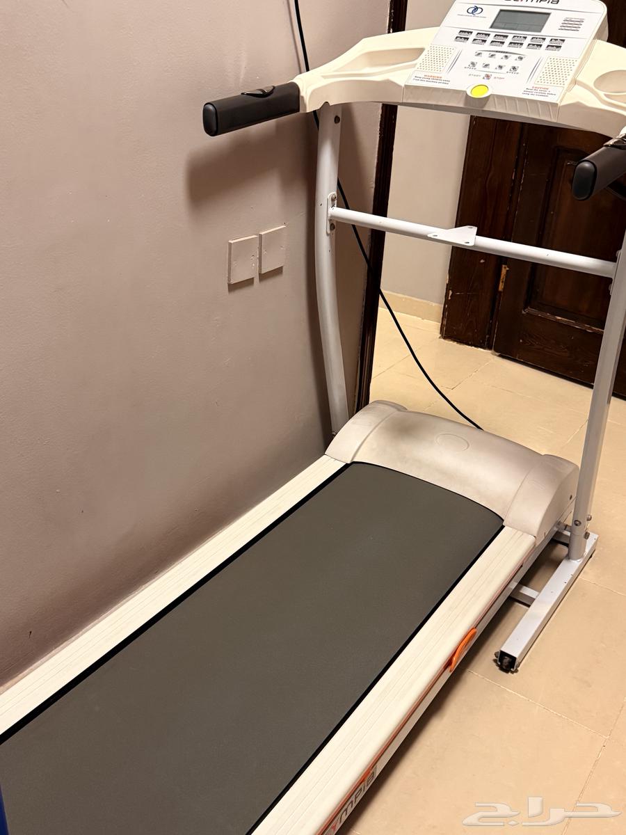 سير كهربائي Olympia نظيف جد ا للبيع64169875167105111