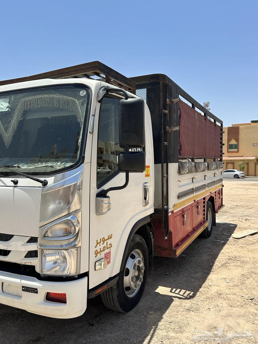 ديانه سيزو202164383954111874111