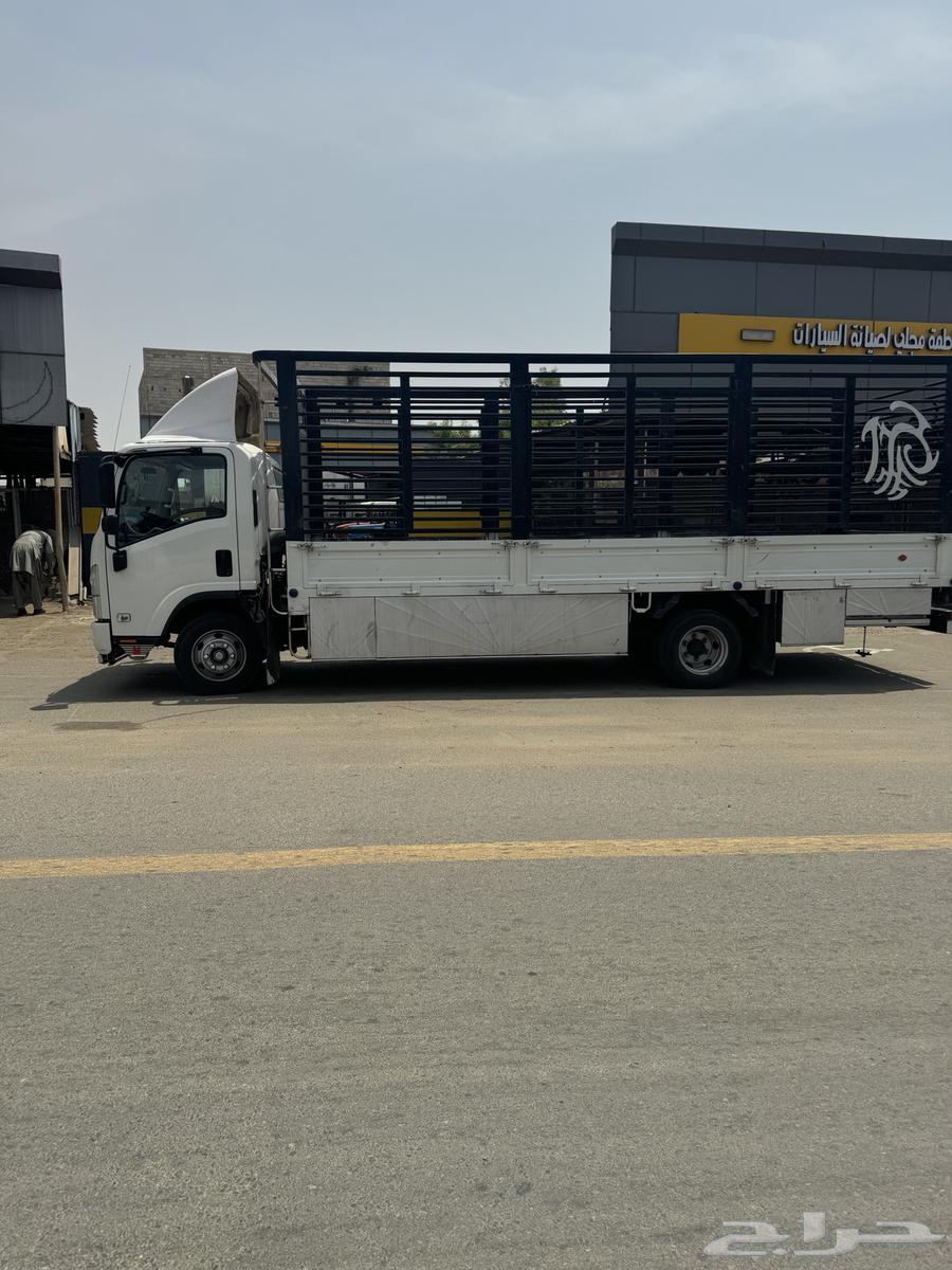 دينه محايل عسير سته ونص تفتح جنب64378251956483113