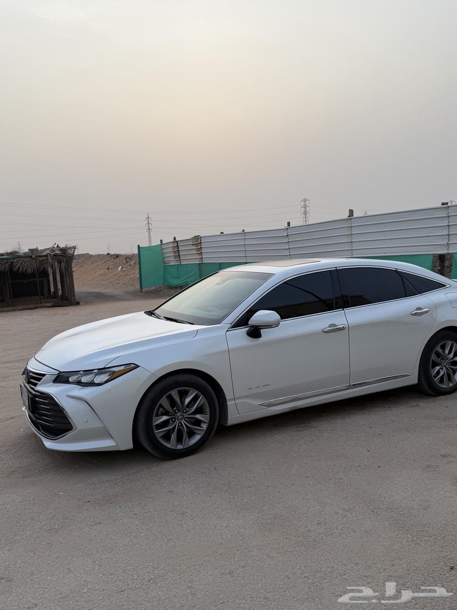 Avalon 2022 Limited64383774340097110