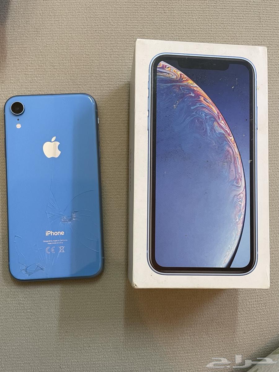 iPhone XR64146084499329113