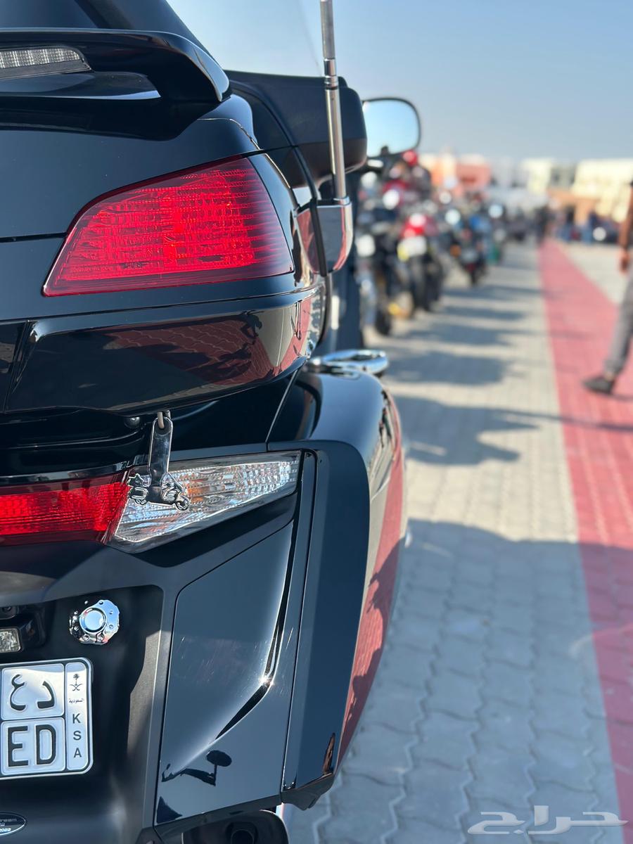 قولد وينق 201564382665827969111