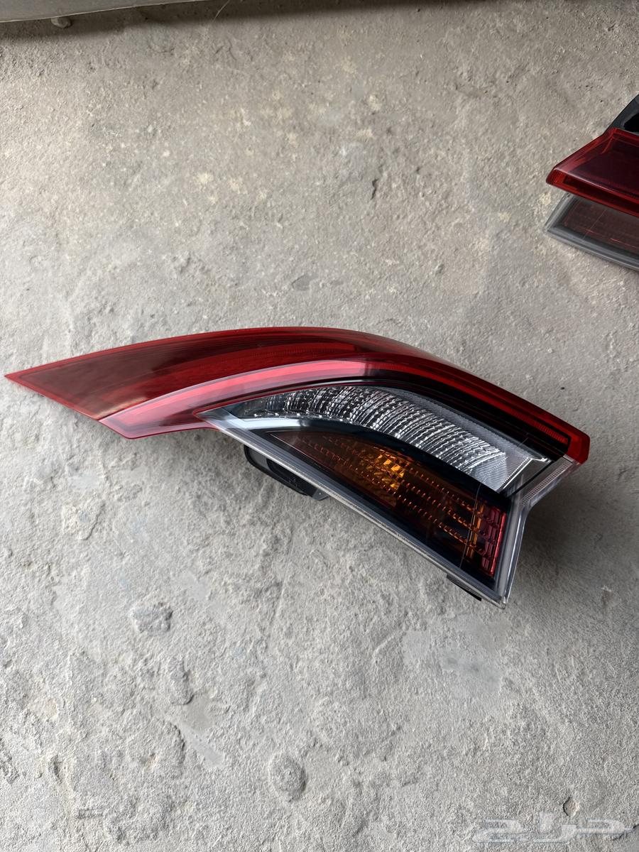 Steb Zera 2021 . 2022 . 2023 Stebs64377314990722111