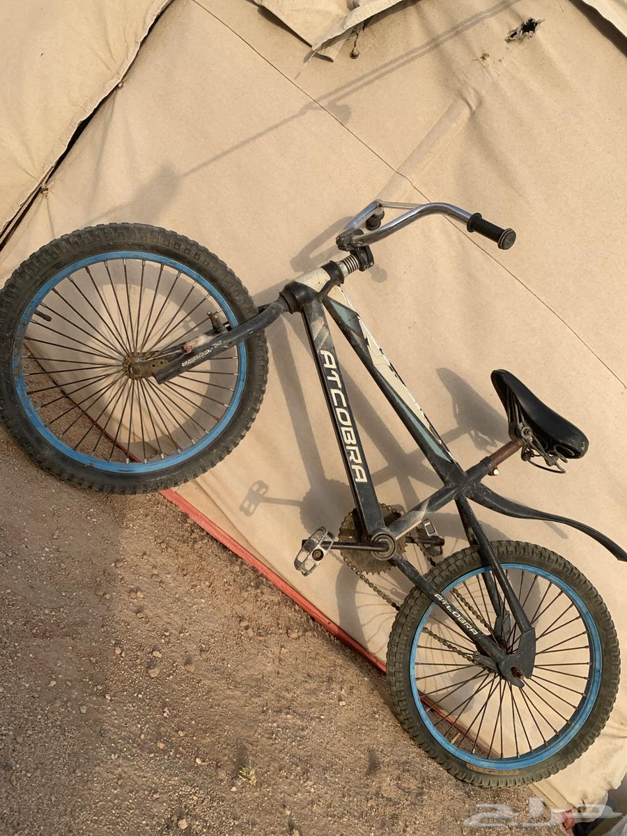 سيكل ات كوبرا نظيف مقاس 2064173238887299113