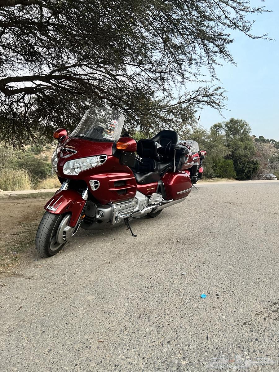 دباب قولد وينق 200264387912394626111