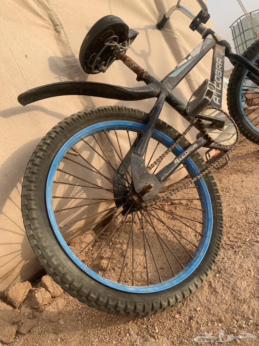 سيكل ات كوبرا نظيف مقاس 2064173238887299110