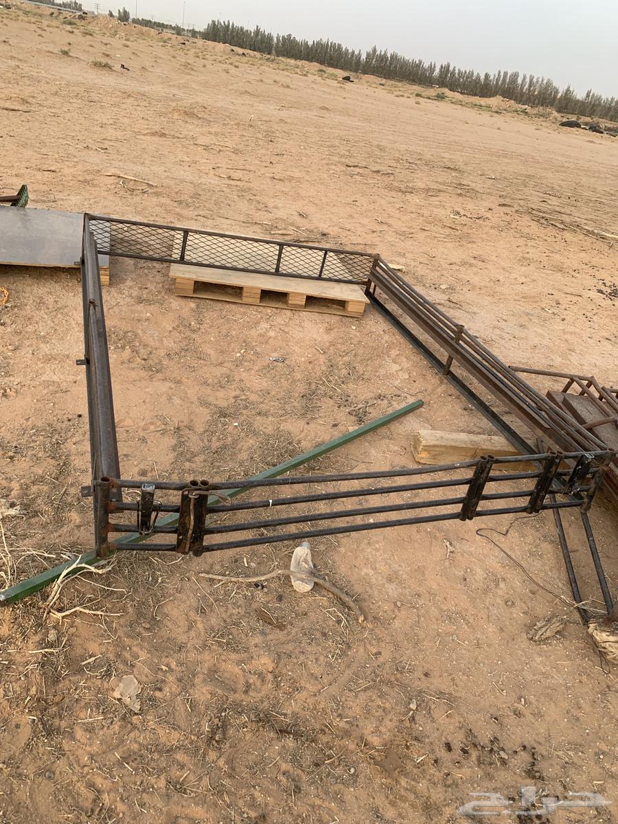 هنقلين64377783427074112