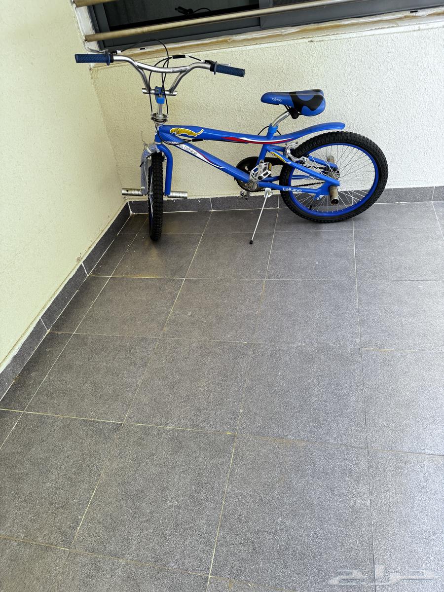 سيكل كوبرا ازرق ب 60064167545575683110