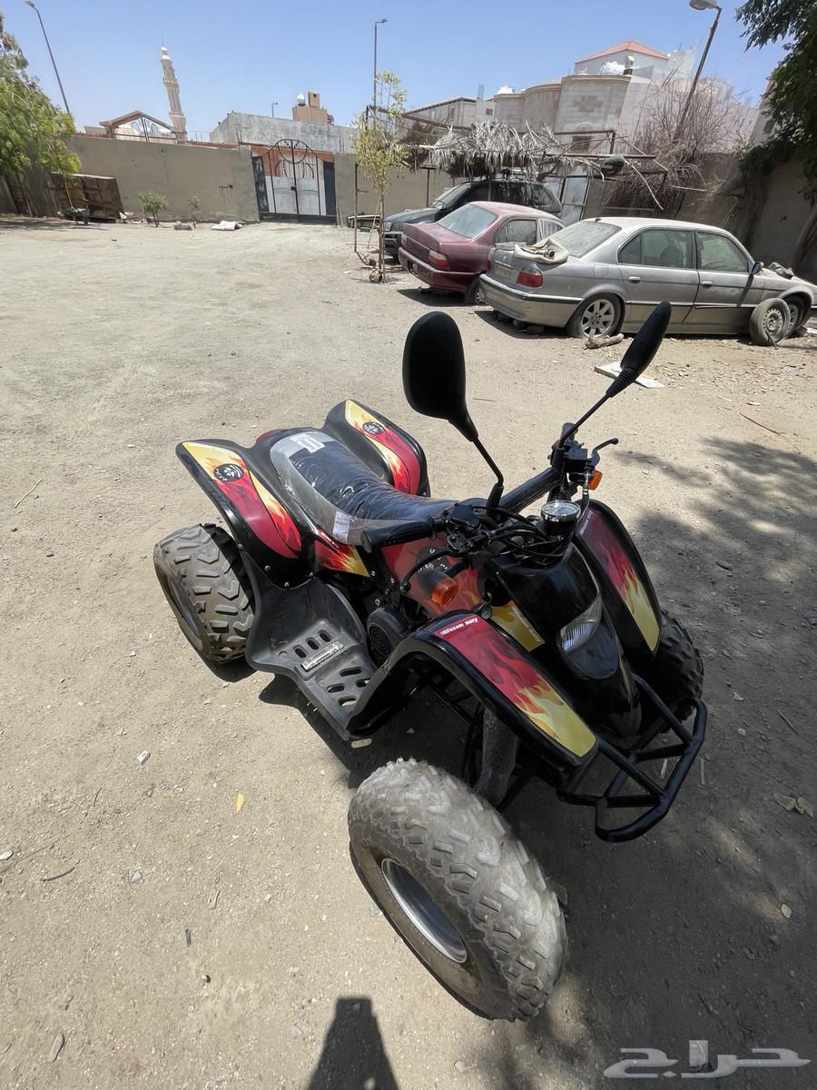 دباب سويدي مقاس 10064384590950529112