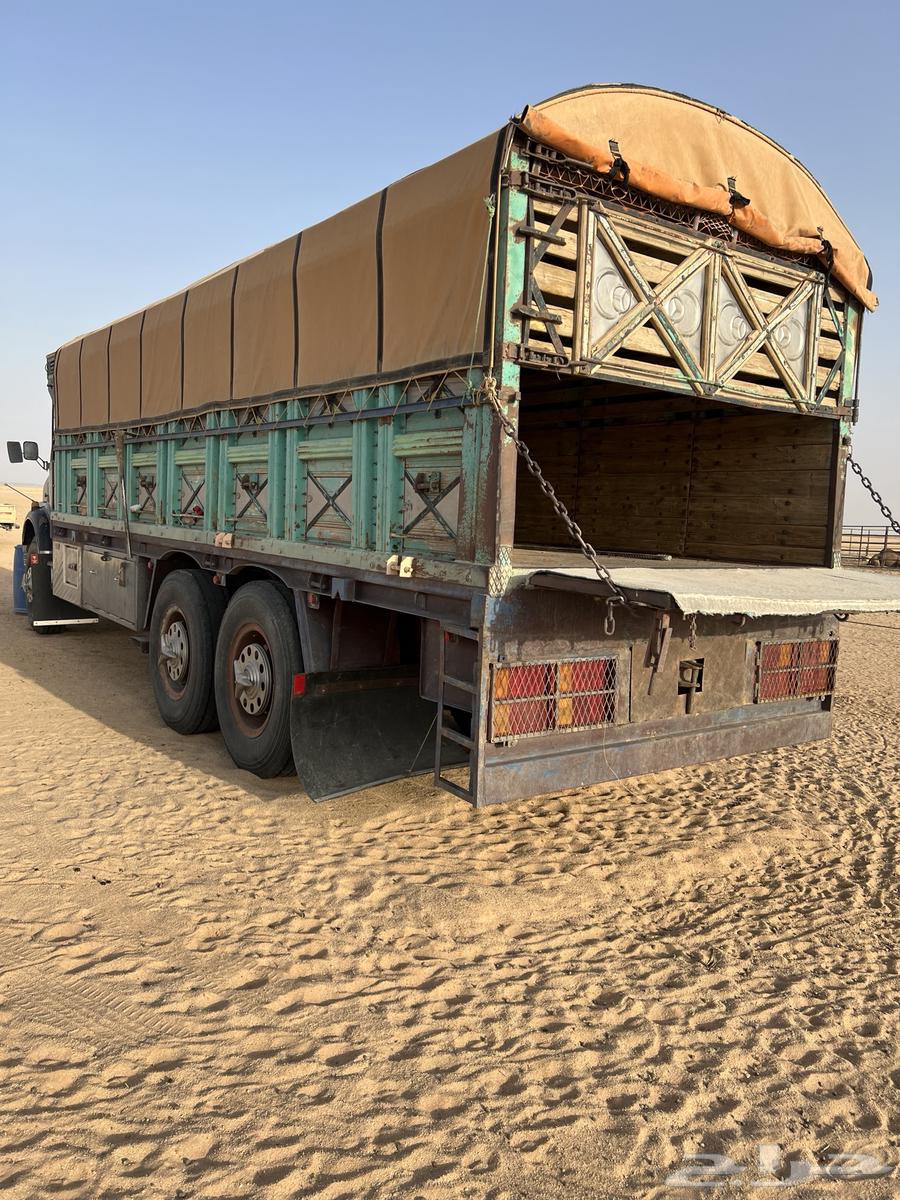 SQS Option Model 77 Condition64384619089283112