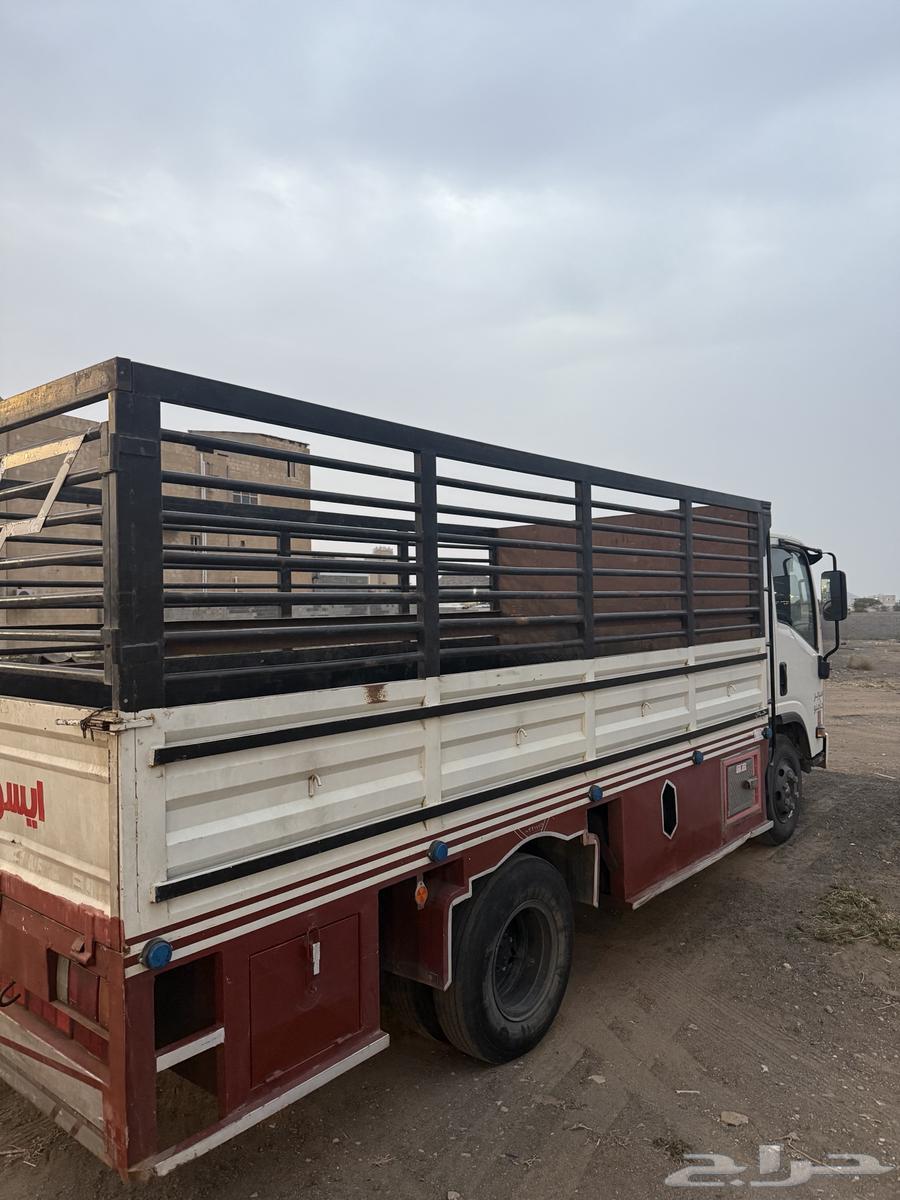 دينا ايسوزو باخشب مخززن للبيع64376050199170112