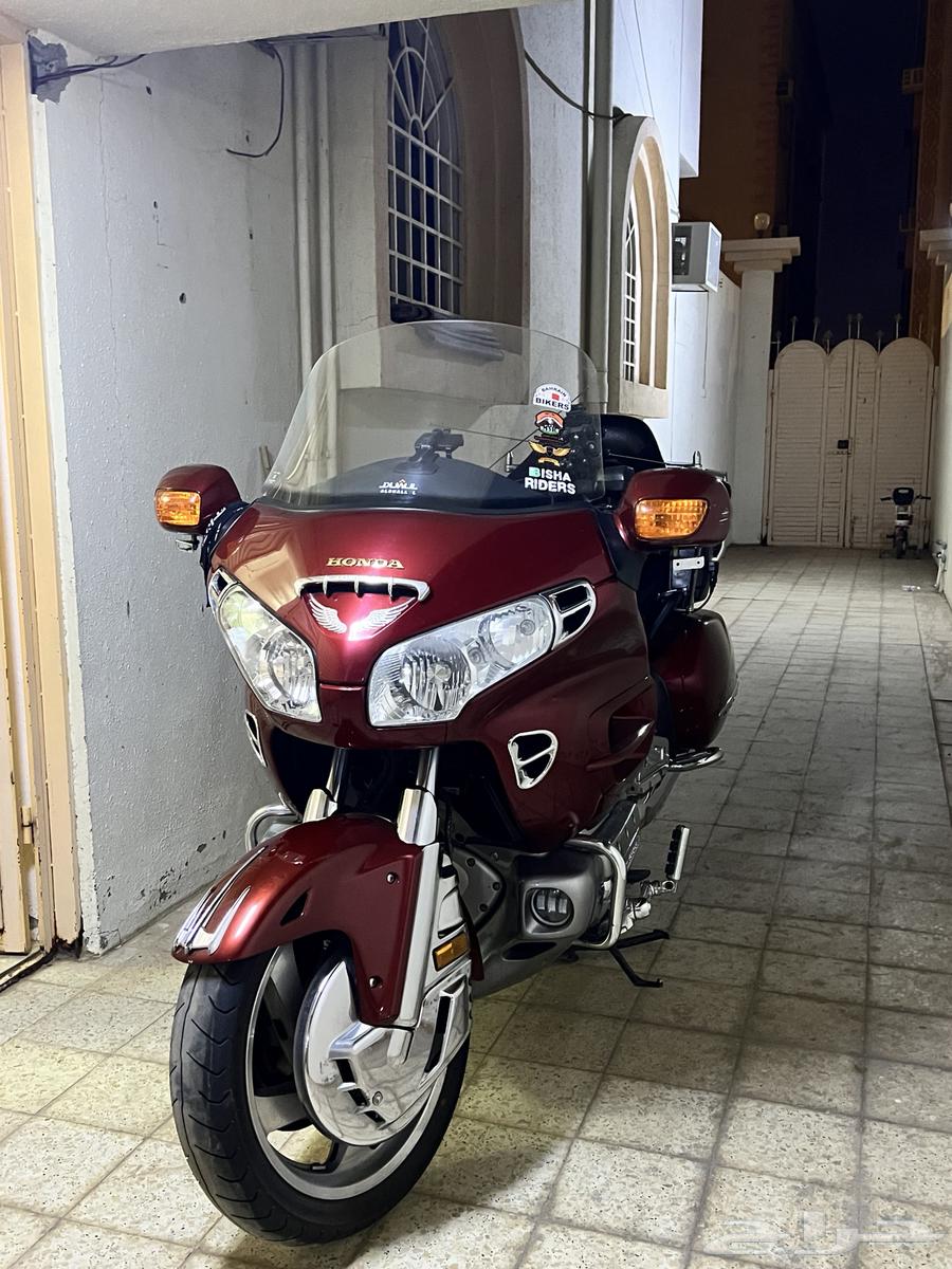 دباب قولد وينق 200264387912394626110