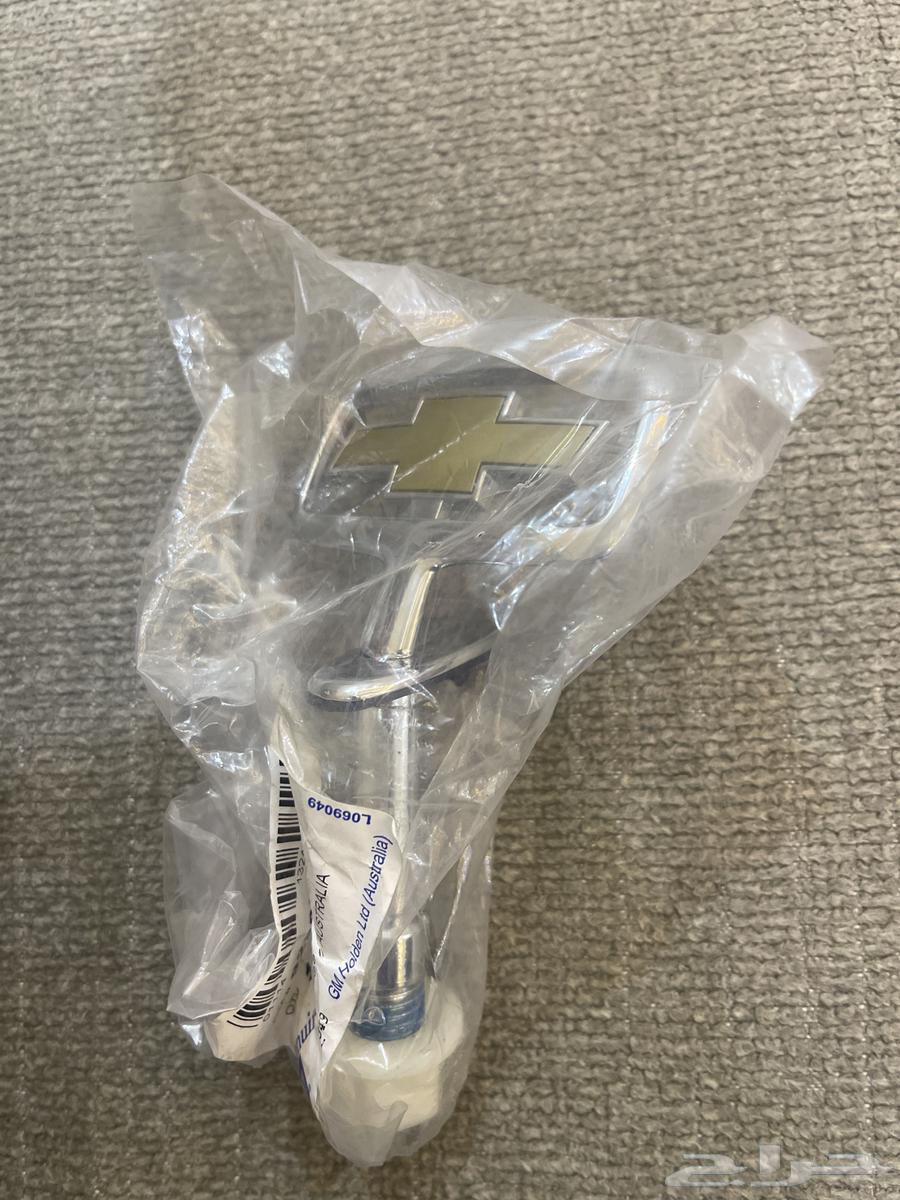 تمثال كبوت كابرس رويال64385147269377111