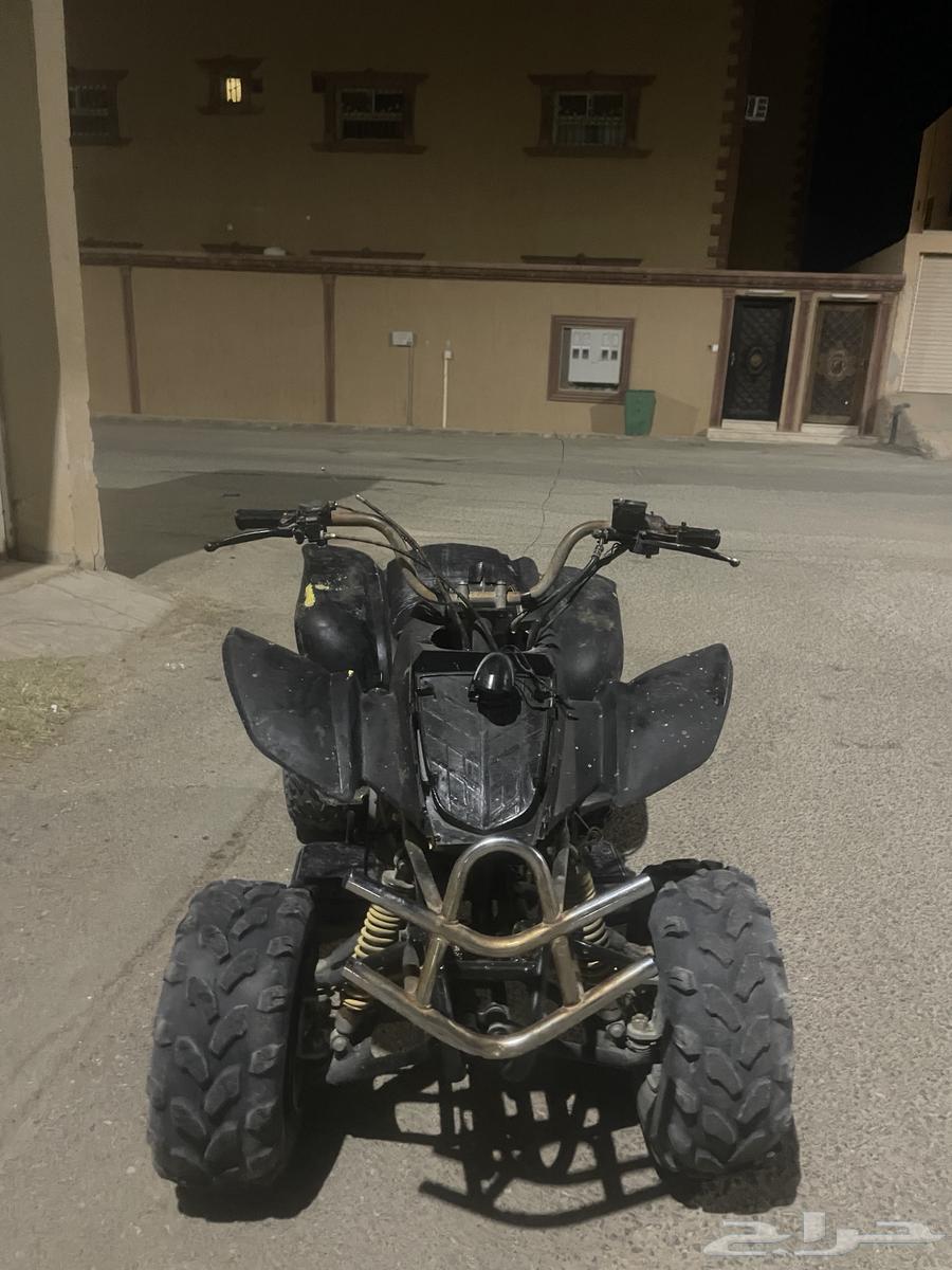 دباب64383801960322112