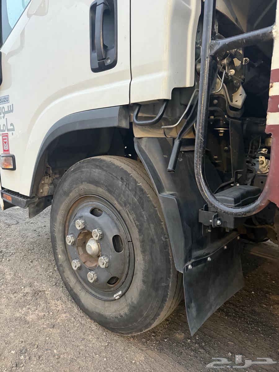 دينا ايسوزو باخشب مخززن للبيع64376050199170114