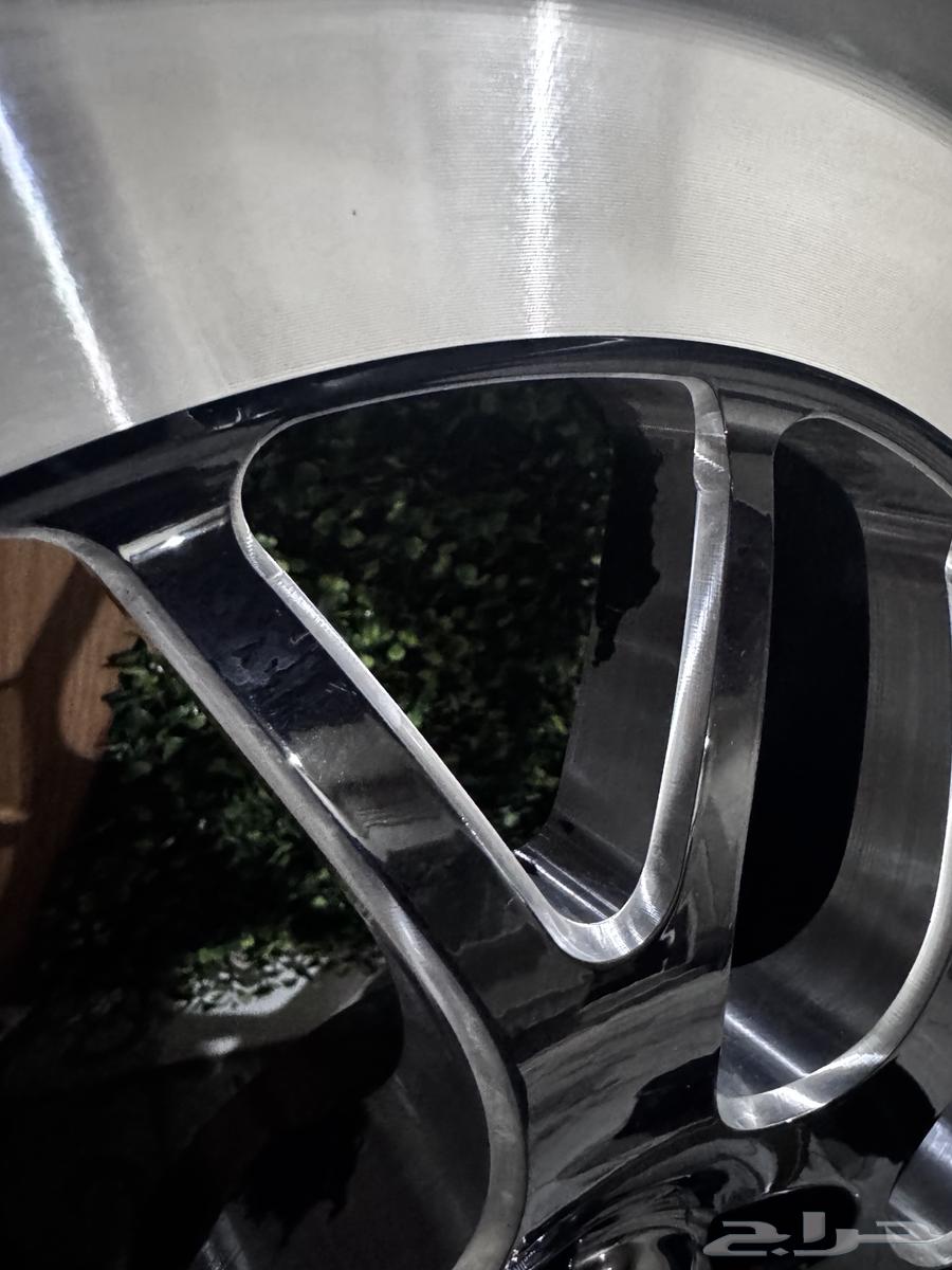 جنوط ويلد تشارجر64376215031426114