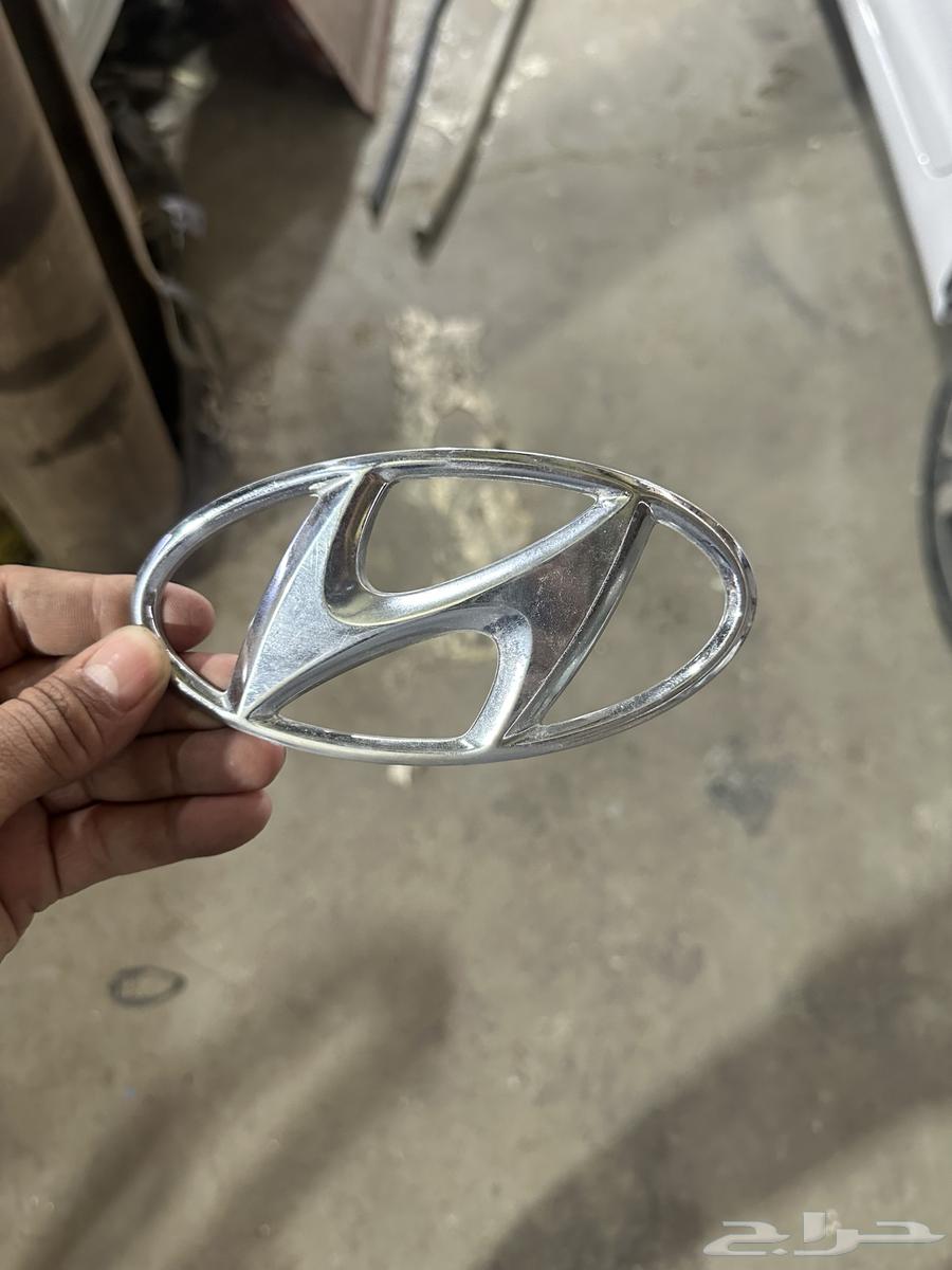 ديكور شنطه النترا64383967762178111