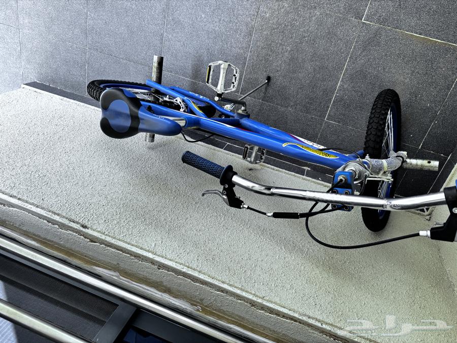 سيكل كوبرا ازرق ب 60064167545575683114