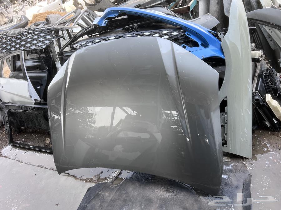 كبوت كامري 2025 وكاله ا صدام كامري 202564382376382595112