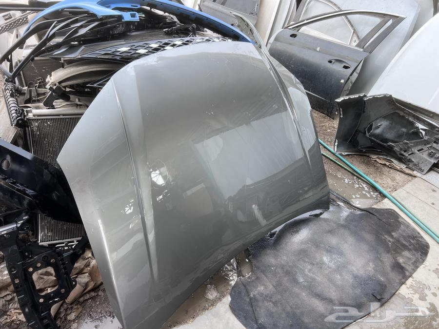 كبوت كامري 2025 وكاله ا صدام كامري 202564382376382595111