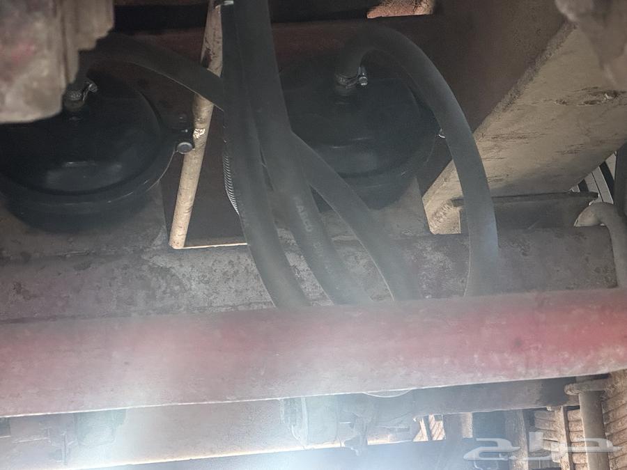 لوبد64377359895553113