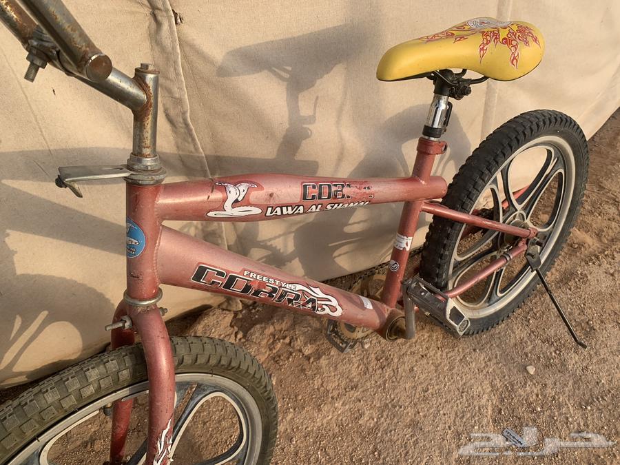 سيكل كوبرا احمر اصلي مقاس 2464165907920258112