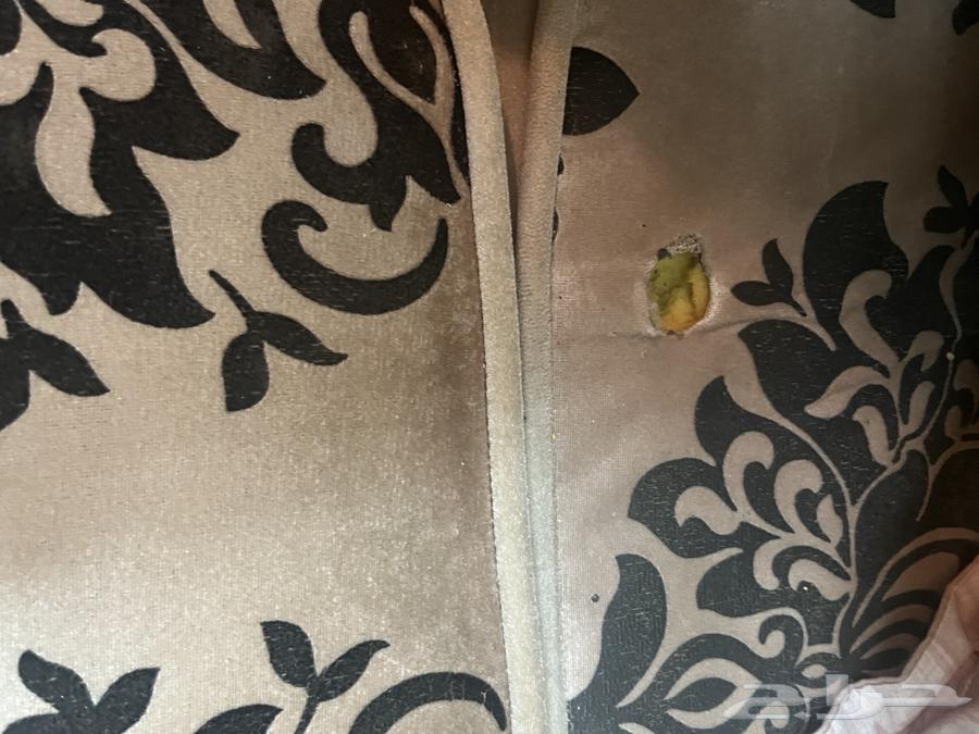Sofa for a 4x5 room with some defects that have been photographed.64161963693058112