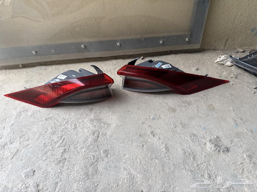 Steb Zera 2021 . 2022 . 2023 Stebs64377314990722110