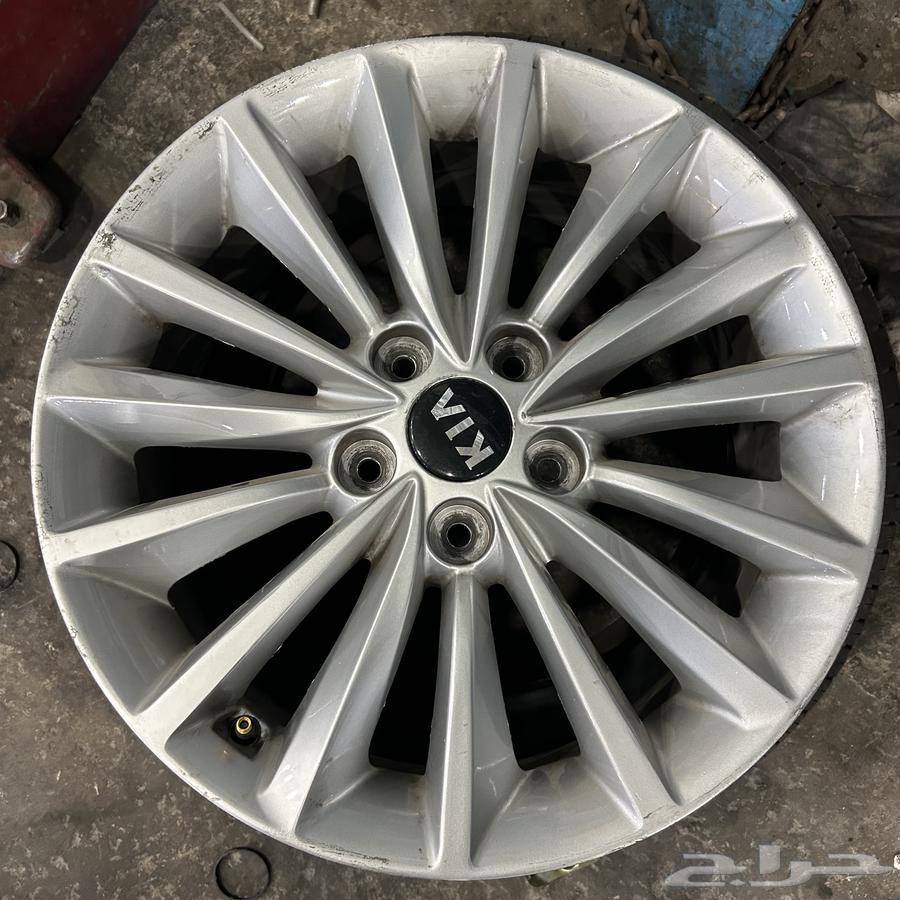 جنوط كادينزا 2019م ستاندر اصلي وكالة64380536482179111