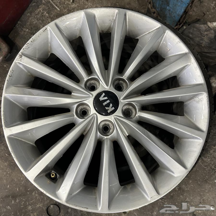 جنوط كادينزا 2019م ستاندر اصلي وكالة64380536482179110