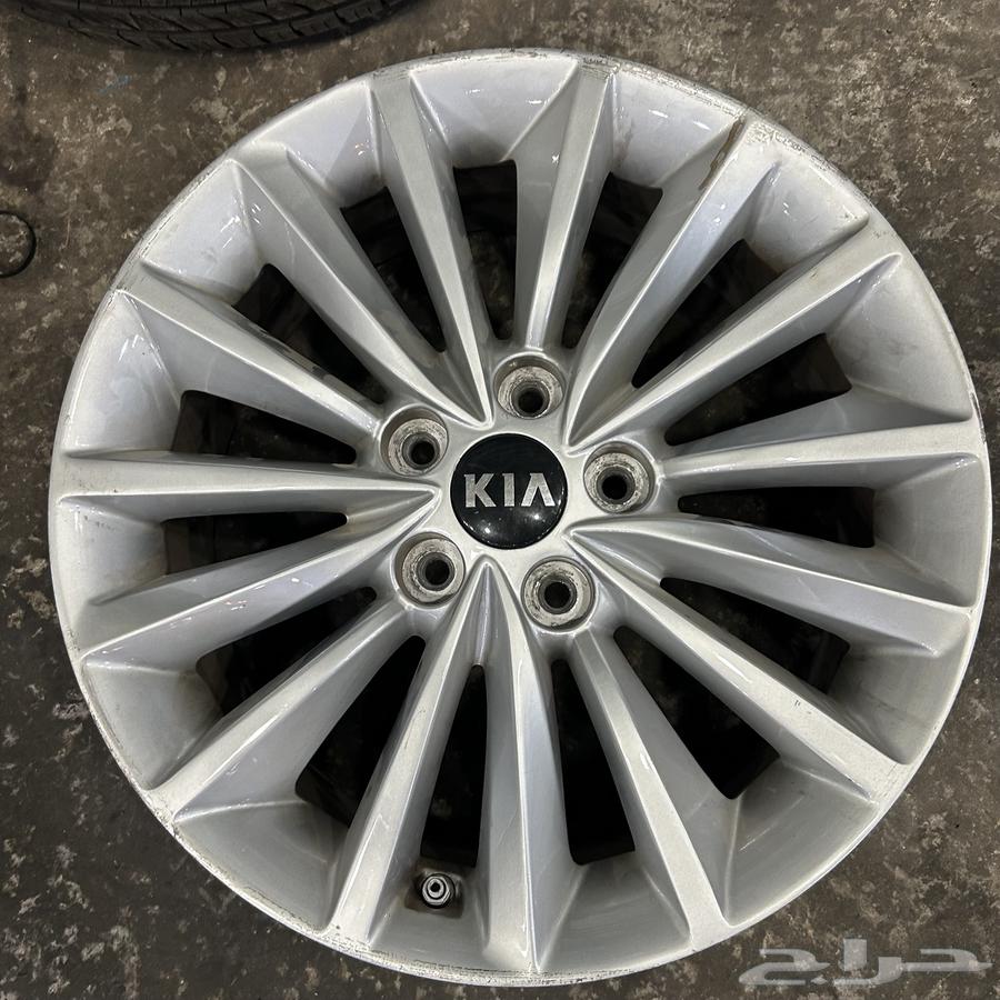 جنوط كادينزا 2019م ستاندر اصلي وكالة64380536482179112