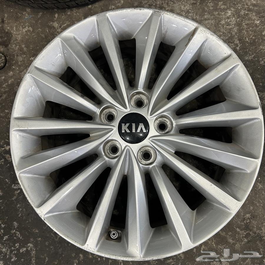 جنوط كادينزا 2019م ستاندر اصلي وكالة64380536482179113