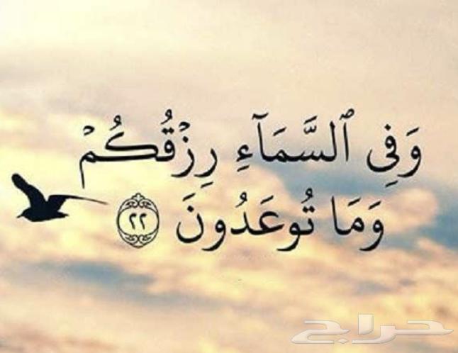 دباب 201464376494999683110