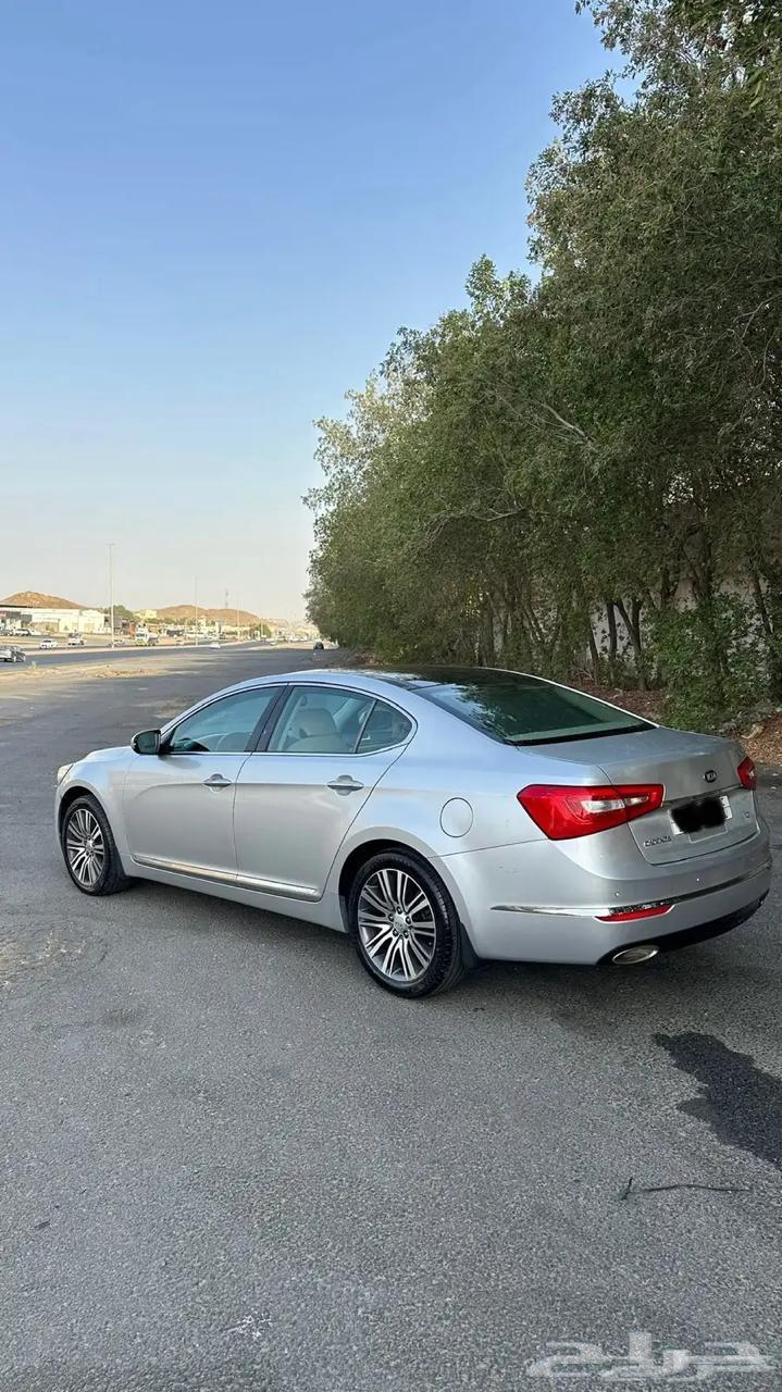 كادينزا 2015 للبيع64379123559297110