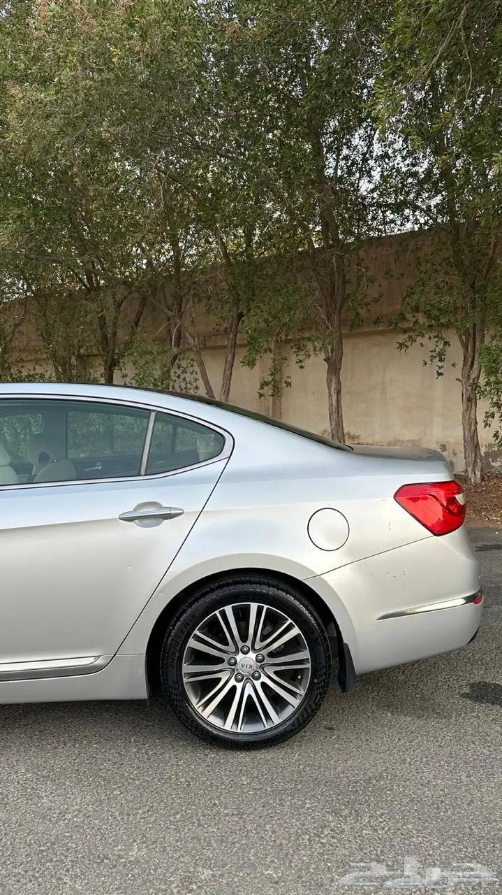 كادينزا 2015 للبيع64379123559297113