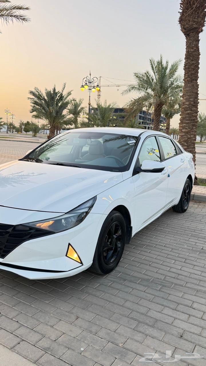 Elantra 202164378774636418112