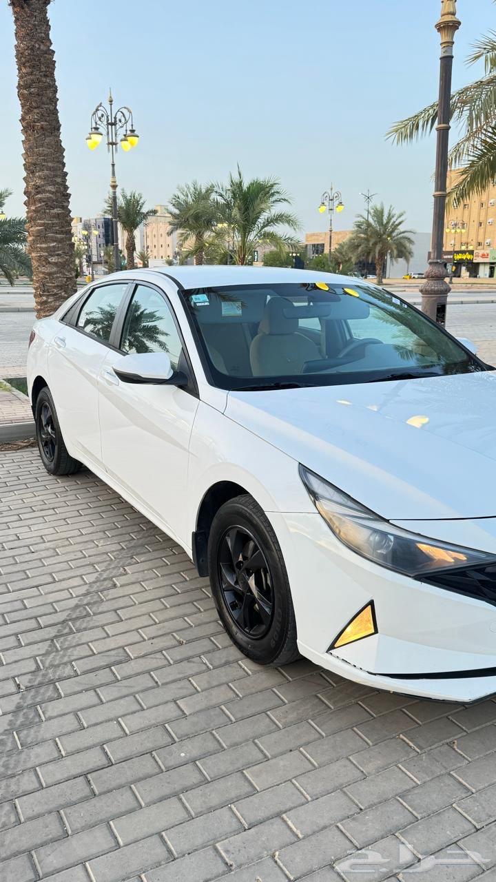 Elantra 202164378774636418111