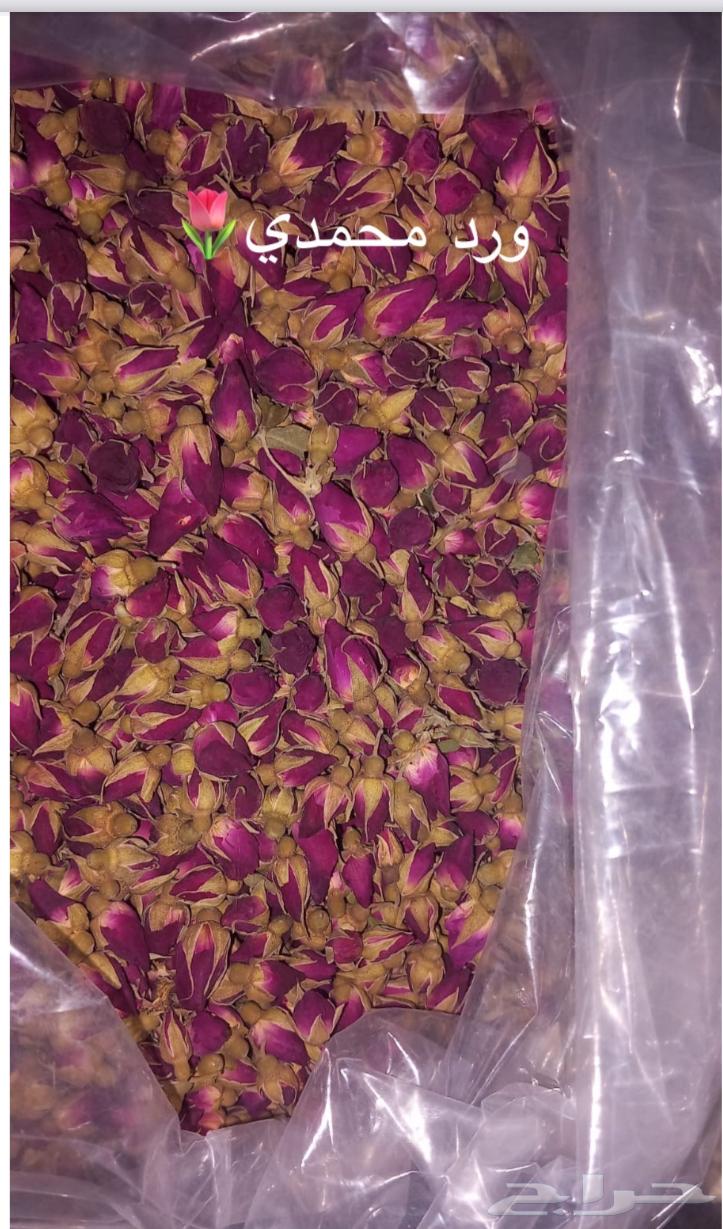 حبق المدينه64163600297858114