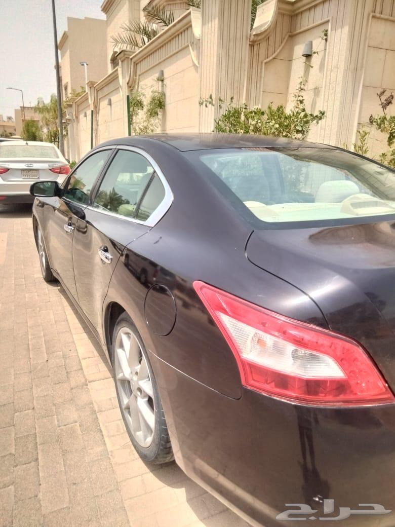 مكسيما نيسان64379282705154114