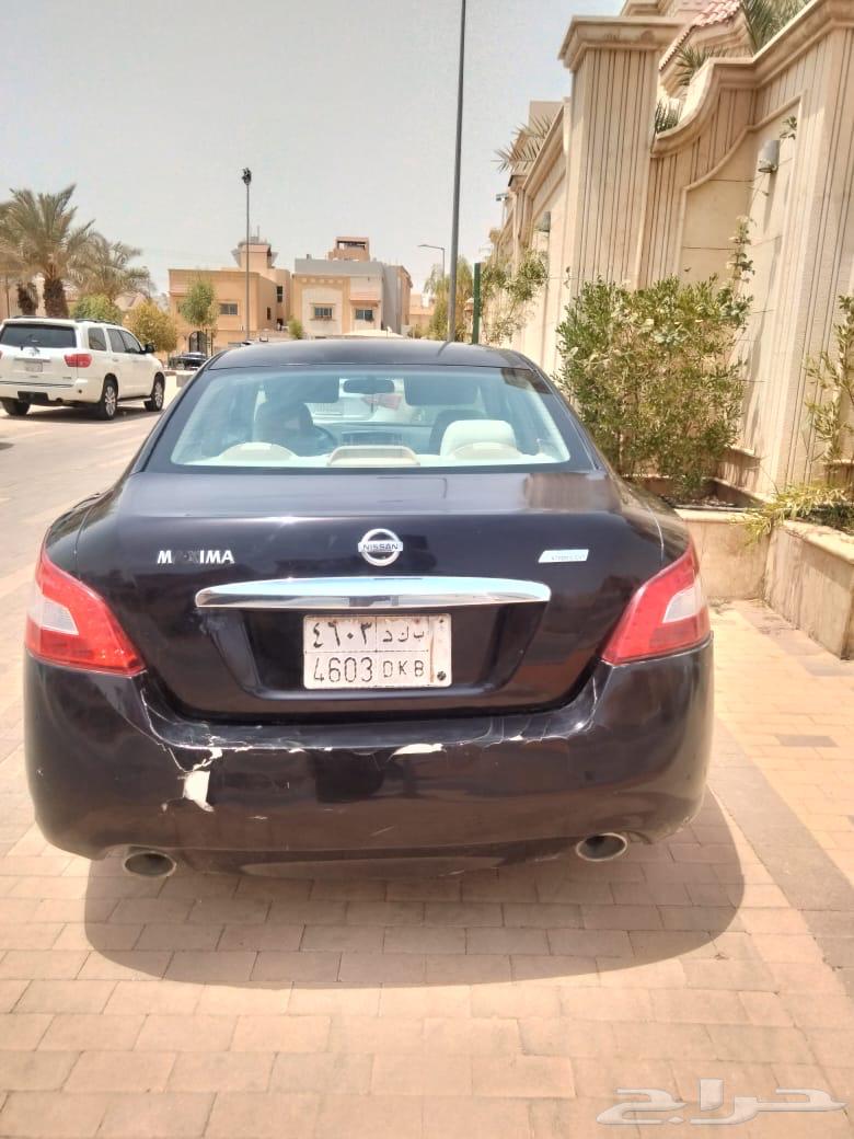 مكسيما نيسان64379282705154111