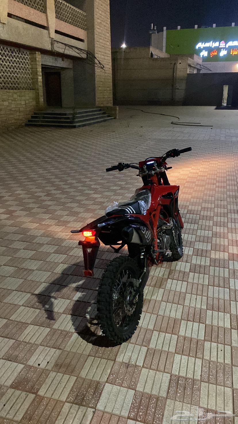 دباب صحراوي64384382671491114