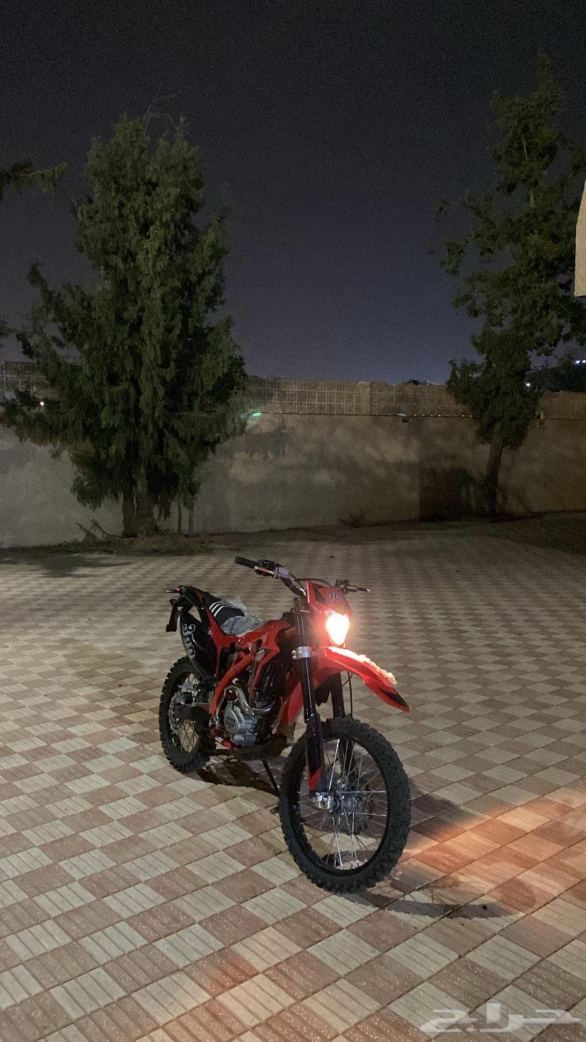 دباب صحراوي64384382671491112