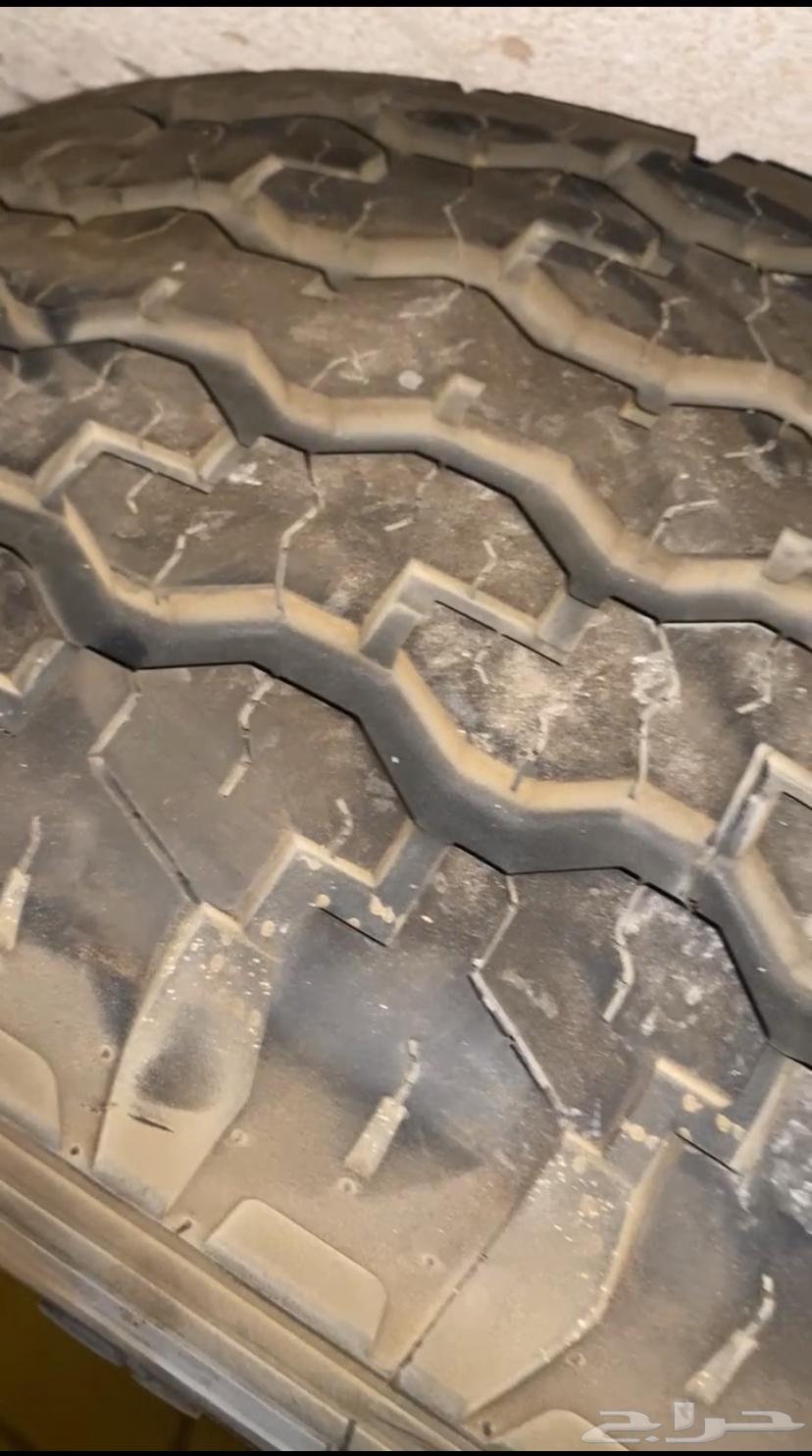 للبيع جنوط الحميد64384534812545112